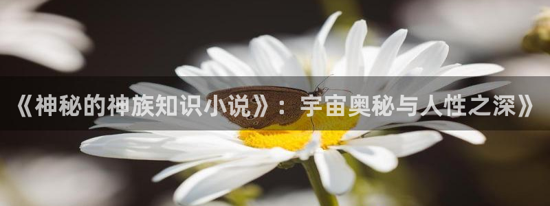 潇湘书院作者：《神秘的神族知识小说》：宇宙奥秘与人性之深》